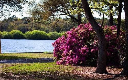 Twin Lakes Camp Resort DeFuniak Springs Kültér fotó